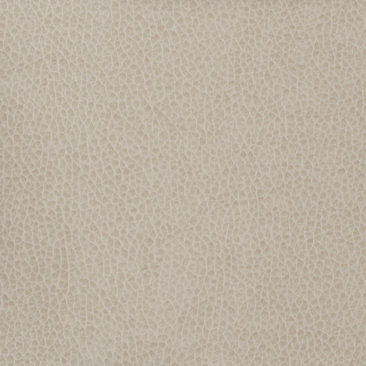 Kravet Basics - Matter-11 - KRAVET BASICS Fabric