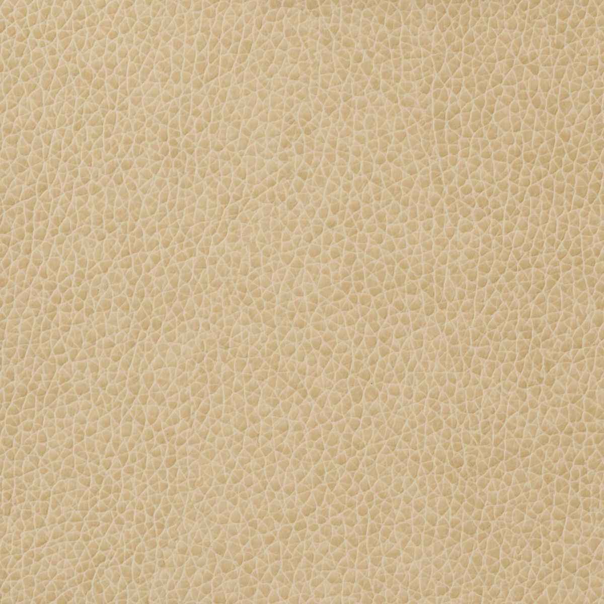 Matter11160 Kravet Basics Matter 1116 Kravet Basics Fabric