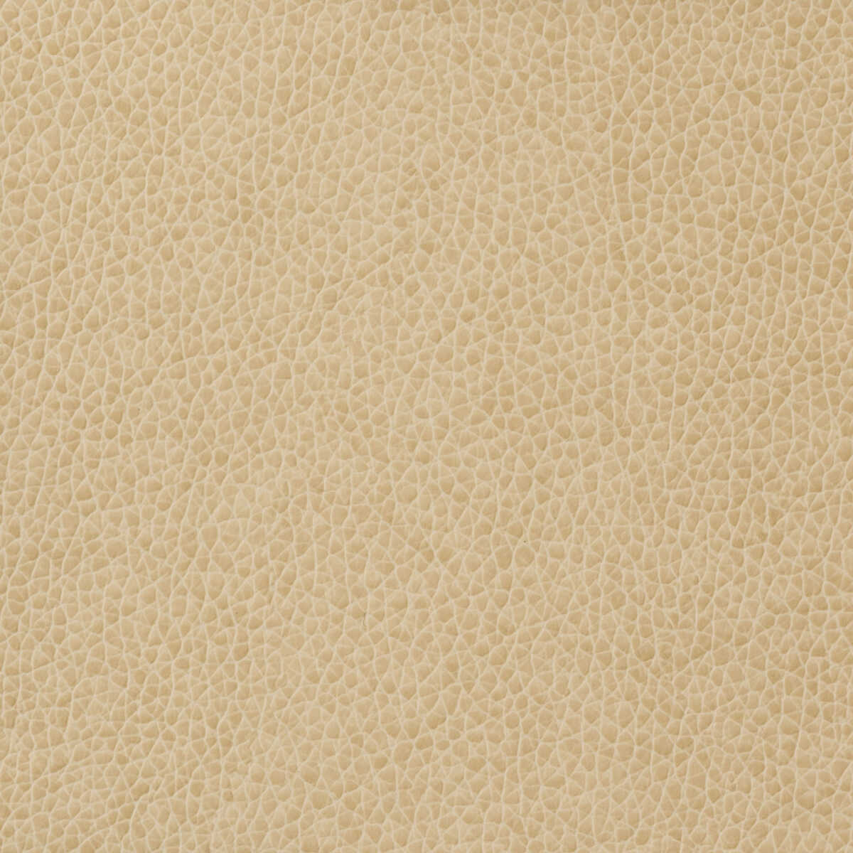 Kravet Basics - Matter-1116 - KRAVET BASICS Fabric