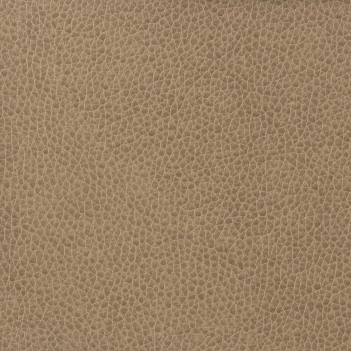 Kravet Basics - Matter-1611 - KRAVET BASICS Fabric