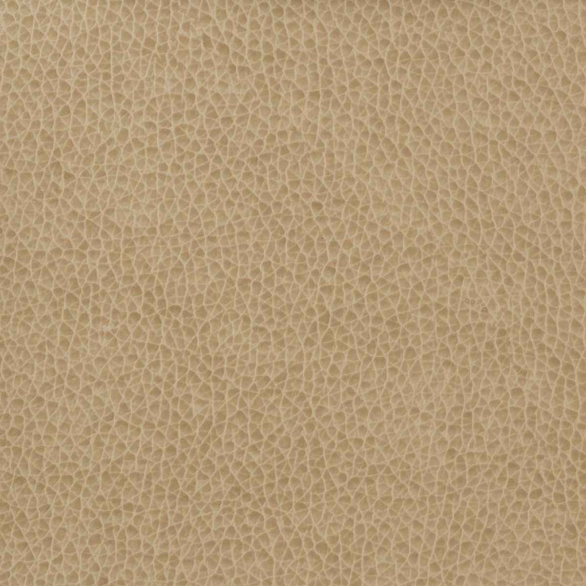 Matter16160 Kravet Basics Matter 1616 Kravet Basics Fabric
