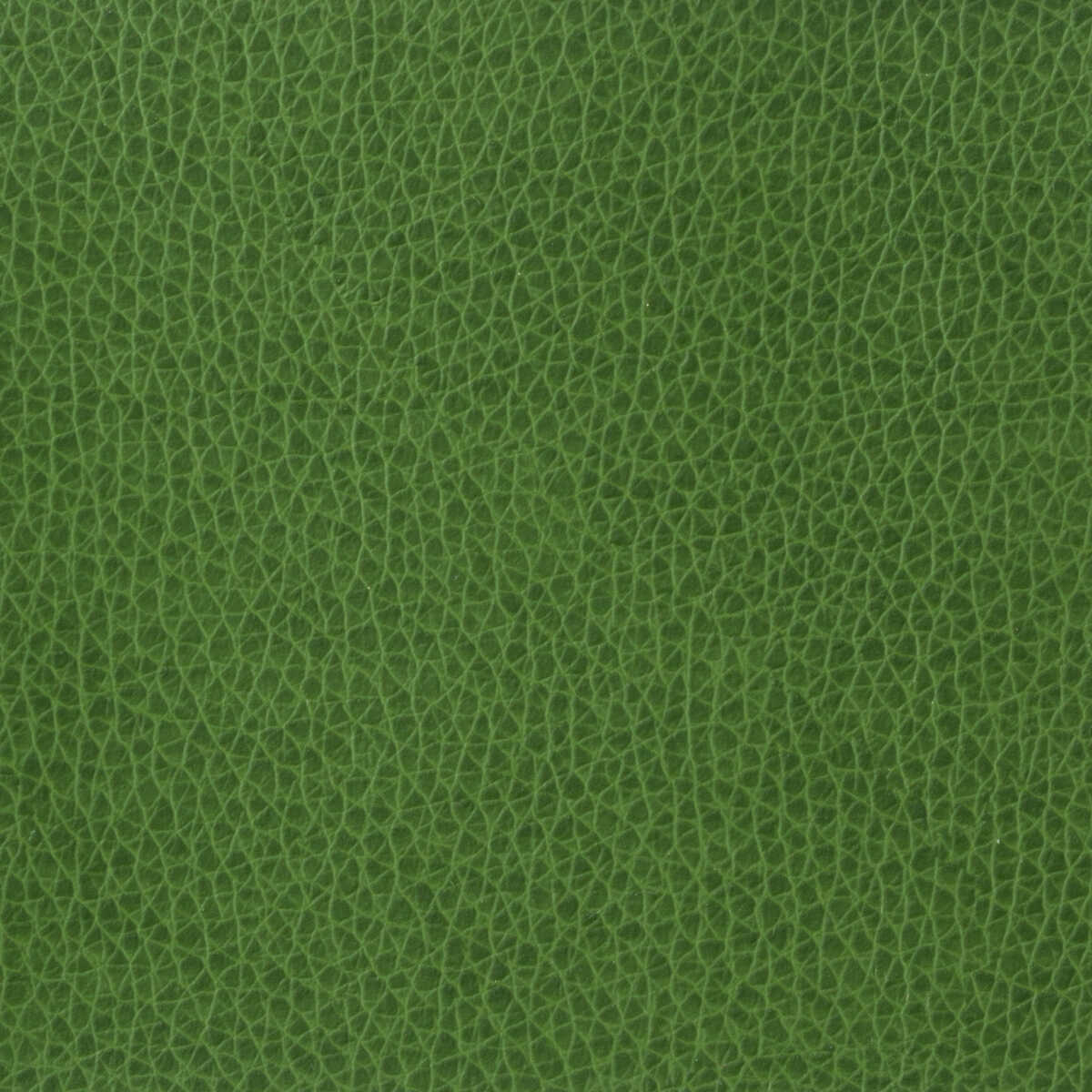 Kravet Basics - Matter-3 - KRAVET BASICS Fabric