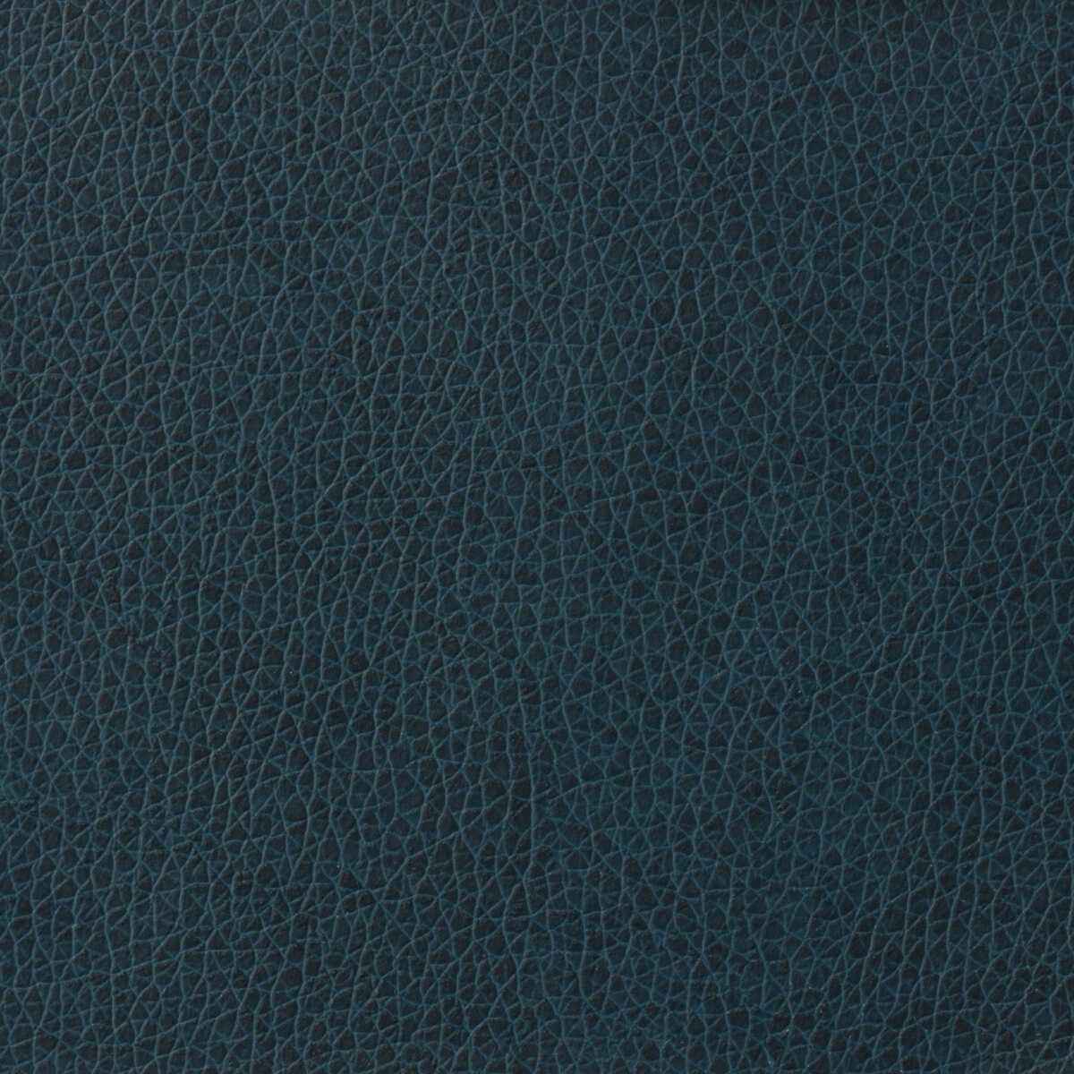 Matter50 Kravet Basics Matter 5 Kravet Basics Fabric