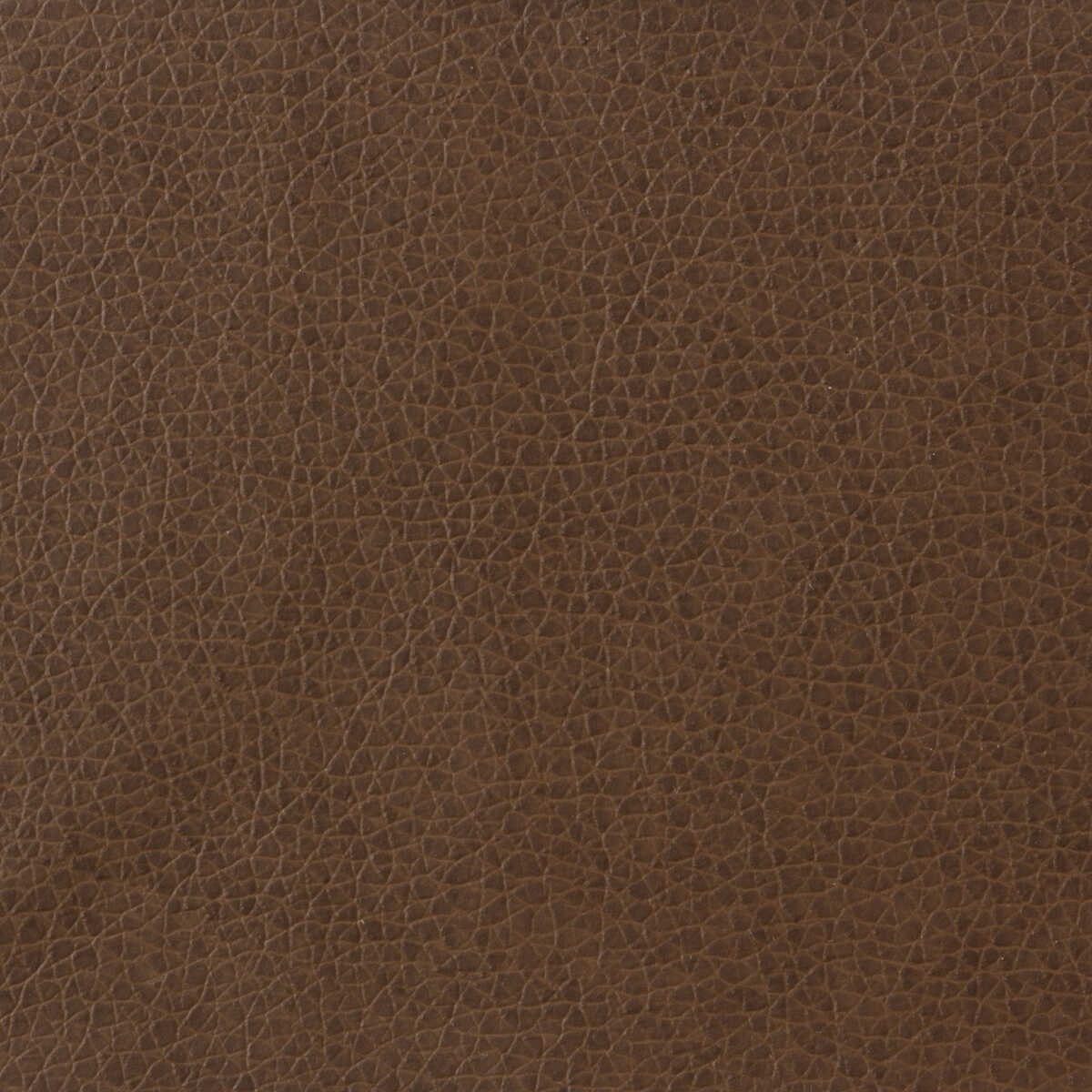 Kravet Basics - Matter-6 - KRAVET BASICS Fabric