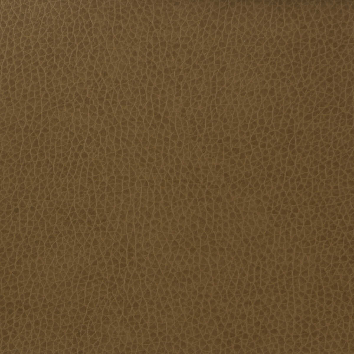 Kravet Basics - Matter-606 - KRAVET BASICS Fabric