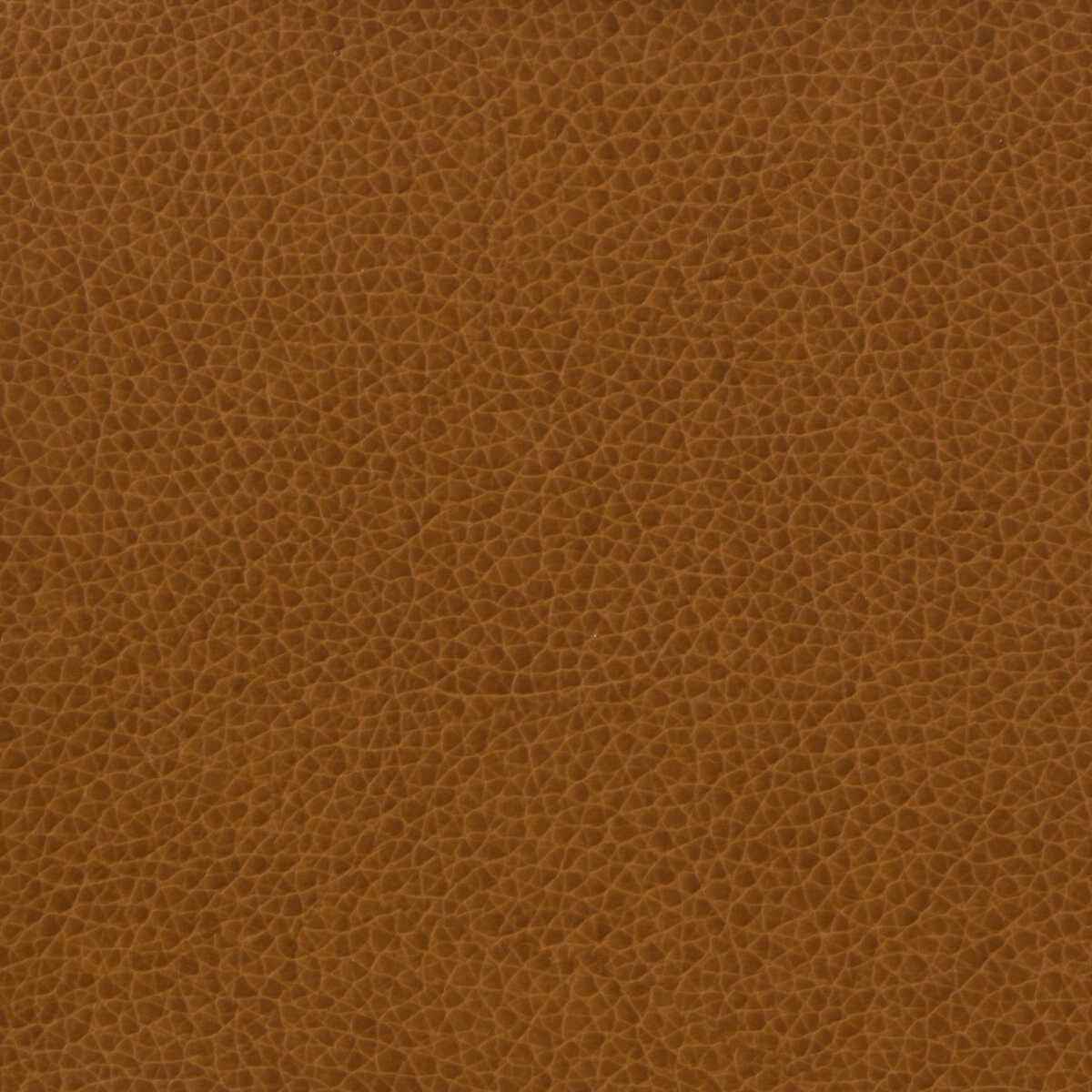 Matter6160 Kravet Basics Matter 616 Kravet Basics Fabric