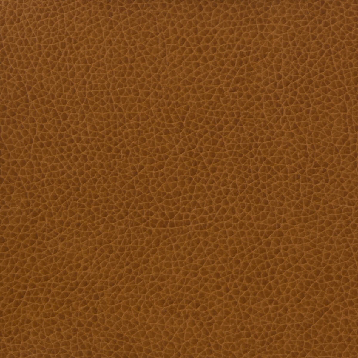 Kravet Basics - Matter-616 - KRAVET BASICS Fabric