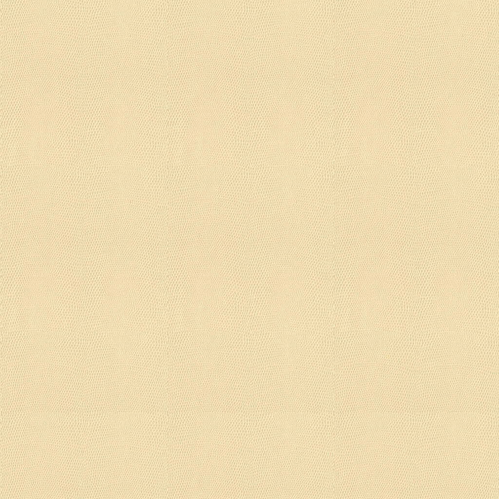 Kravet Design - Moccasin-1001