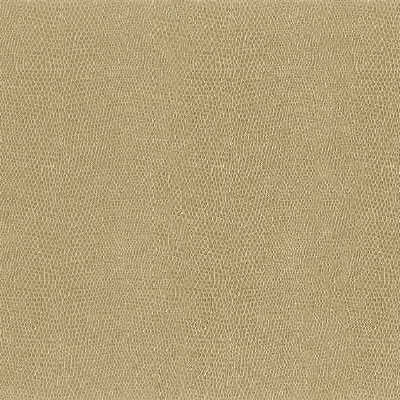 Kravet Design - Moccasin-161