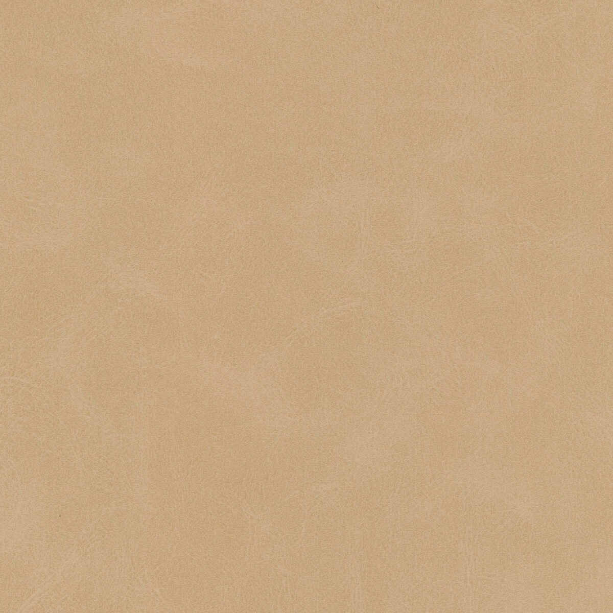 Kravet Design - Mojari-11 - KRAVET DESIGN Fabric