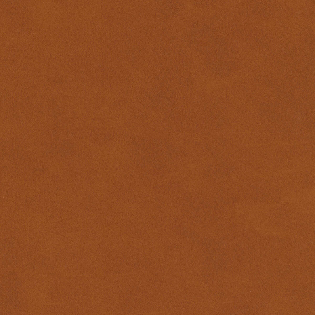 Kravet Design - Mojari-6