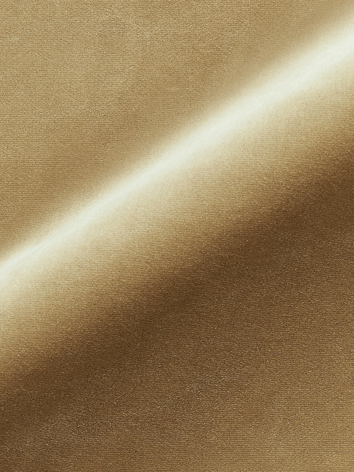 Torino Velvet - Doe - Scalamandre Fabric