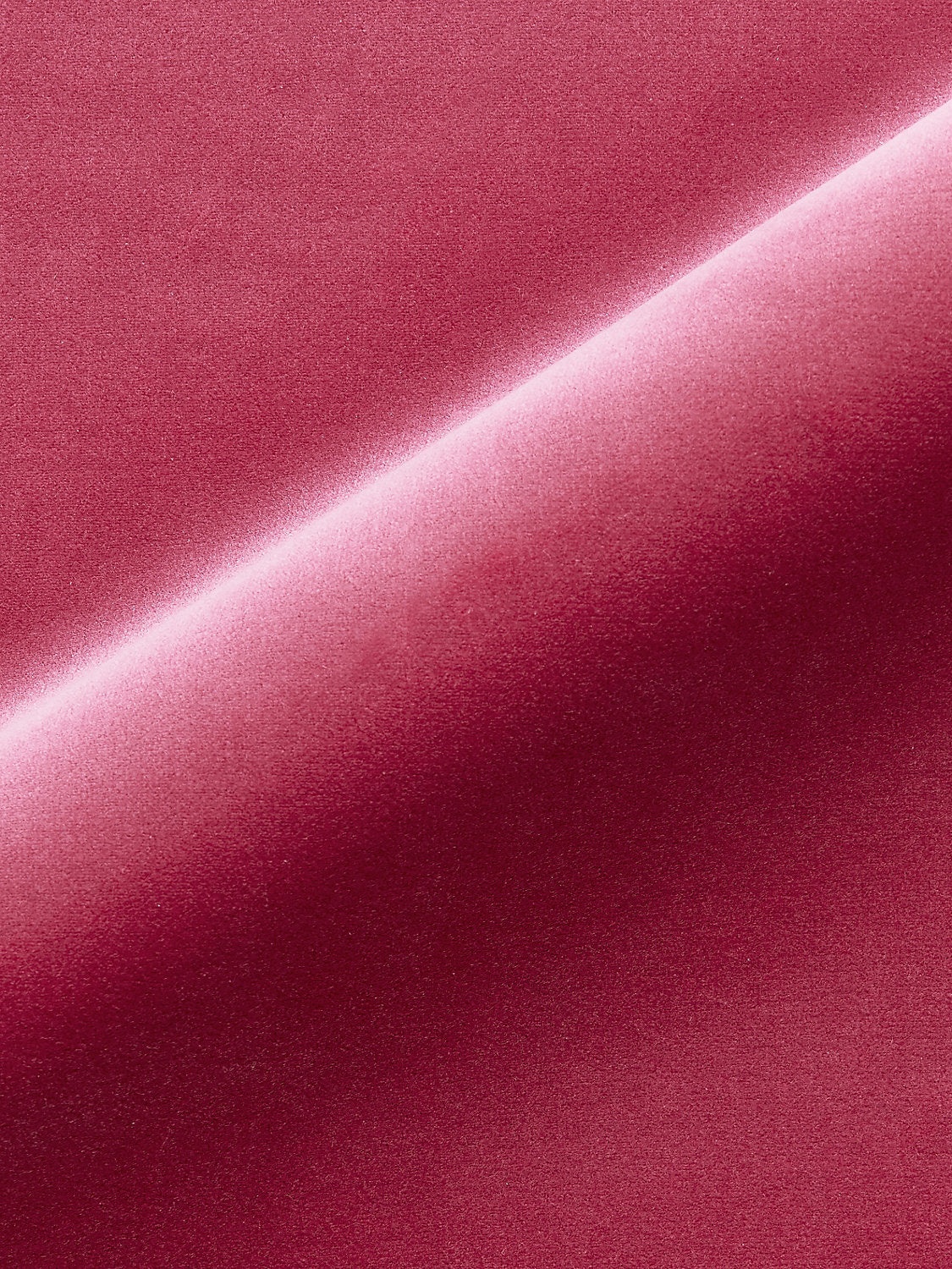 Torino Velvet - Petal - Scalamandre Fabric