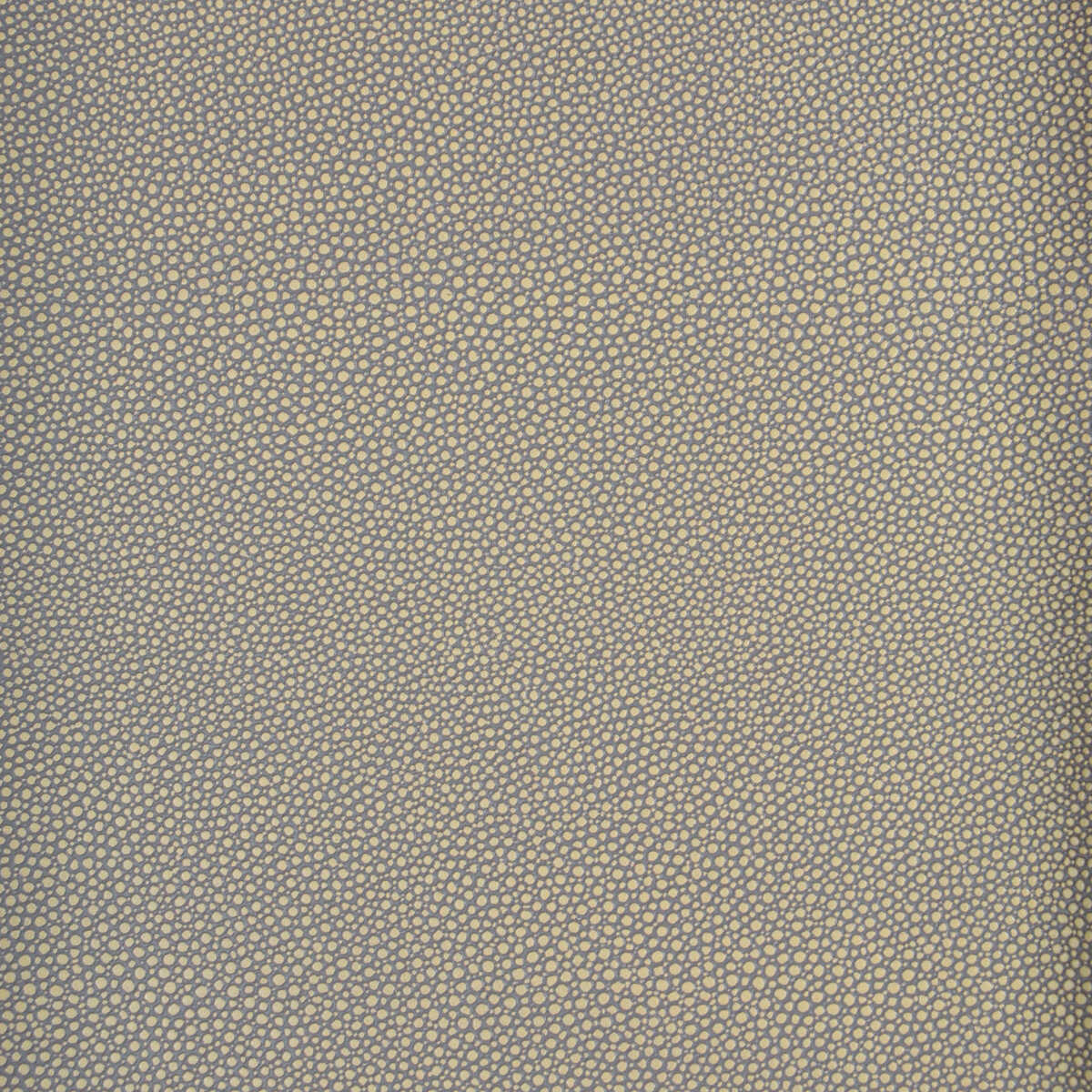 Kravet Design - Mindy-11