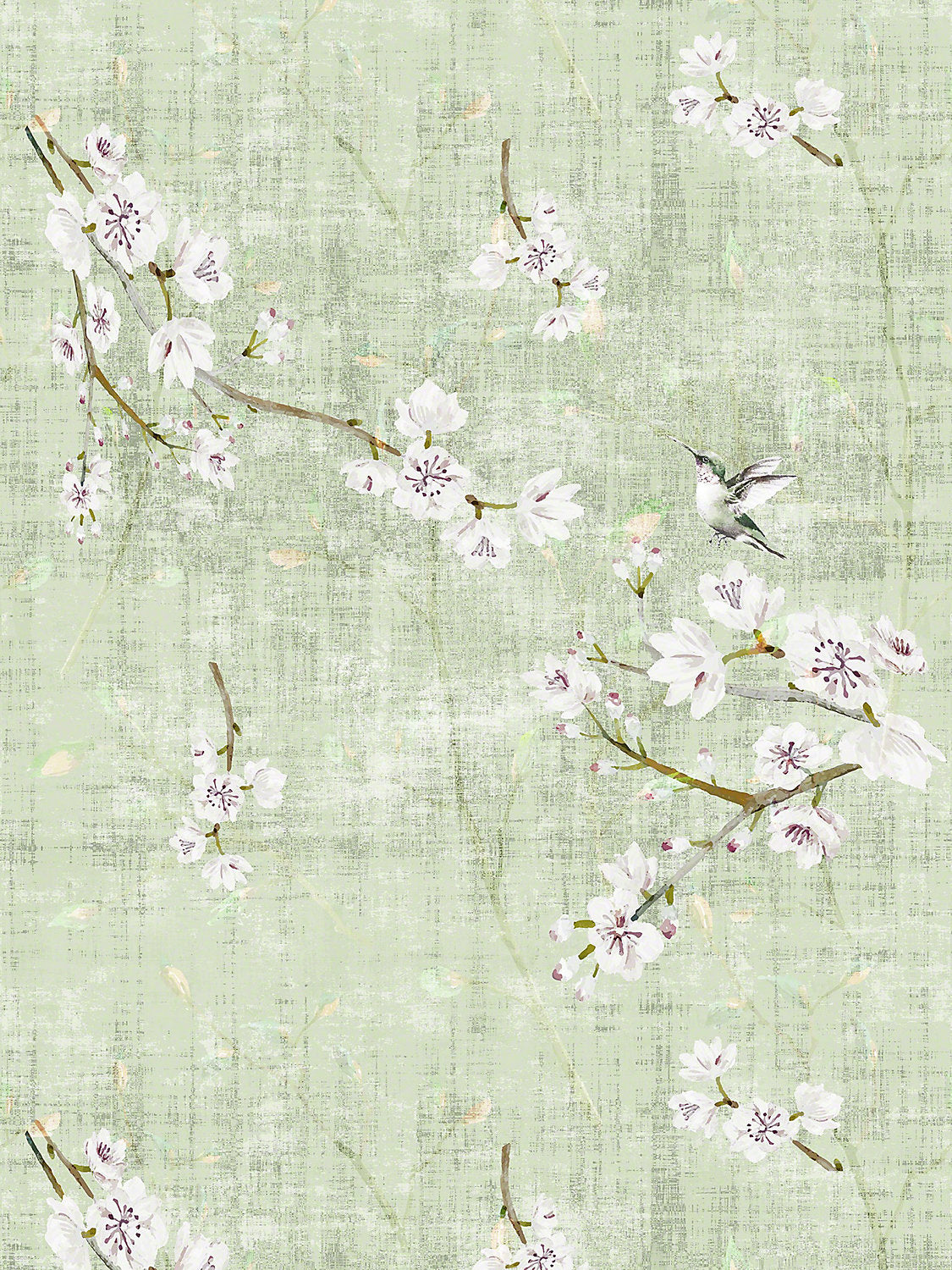Blossom Fantasia | Sheer - Celadon - Scalamandre Fabric