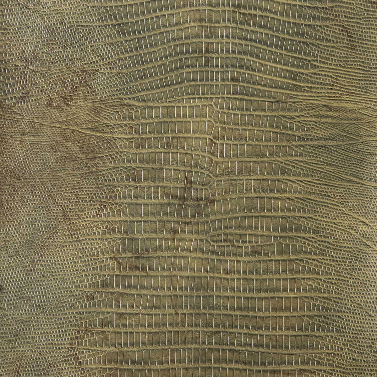 Kravet Design - Namaqua-3