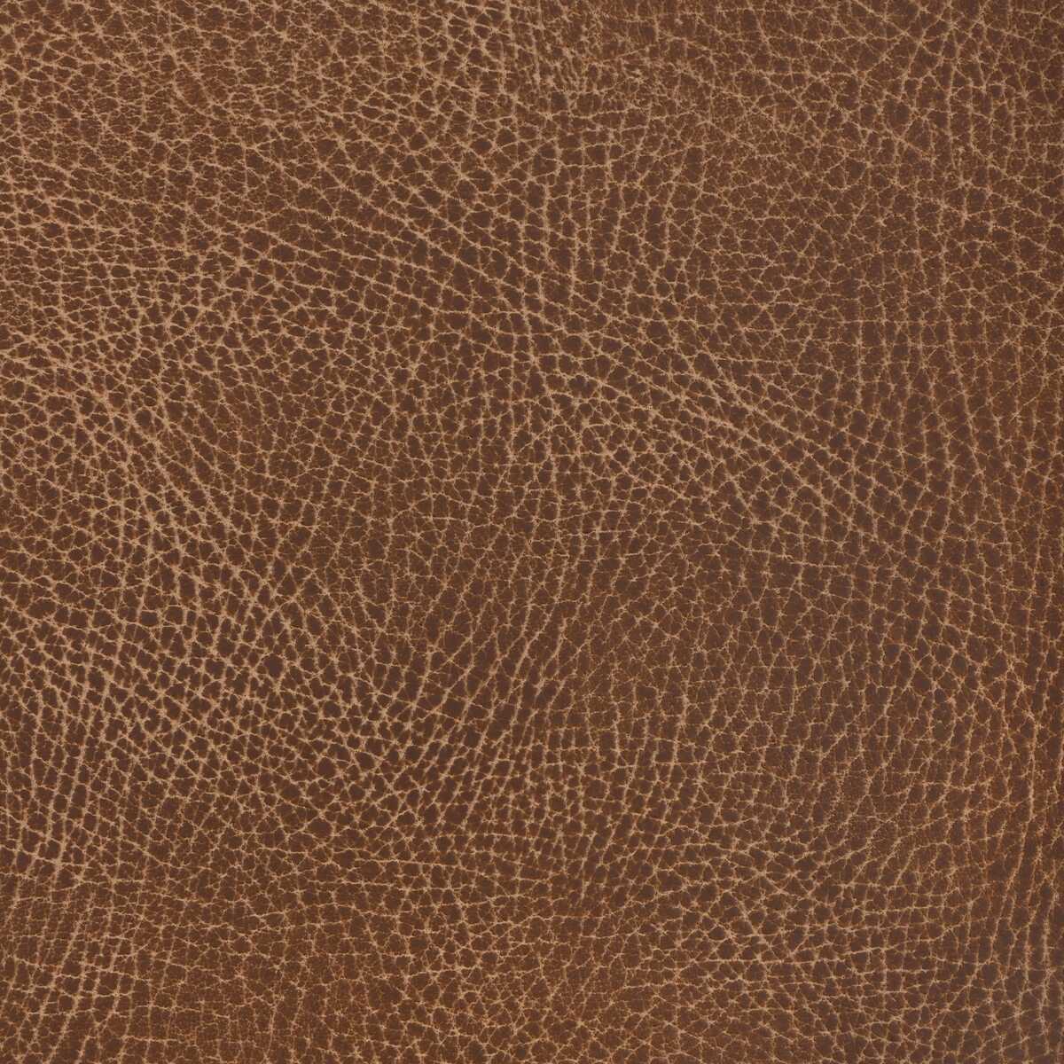 Kravet Design - Nash-6