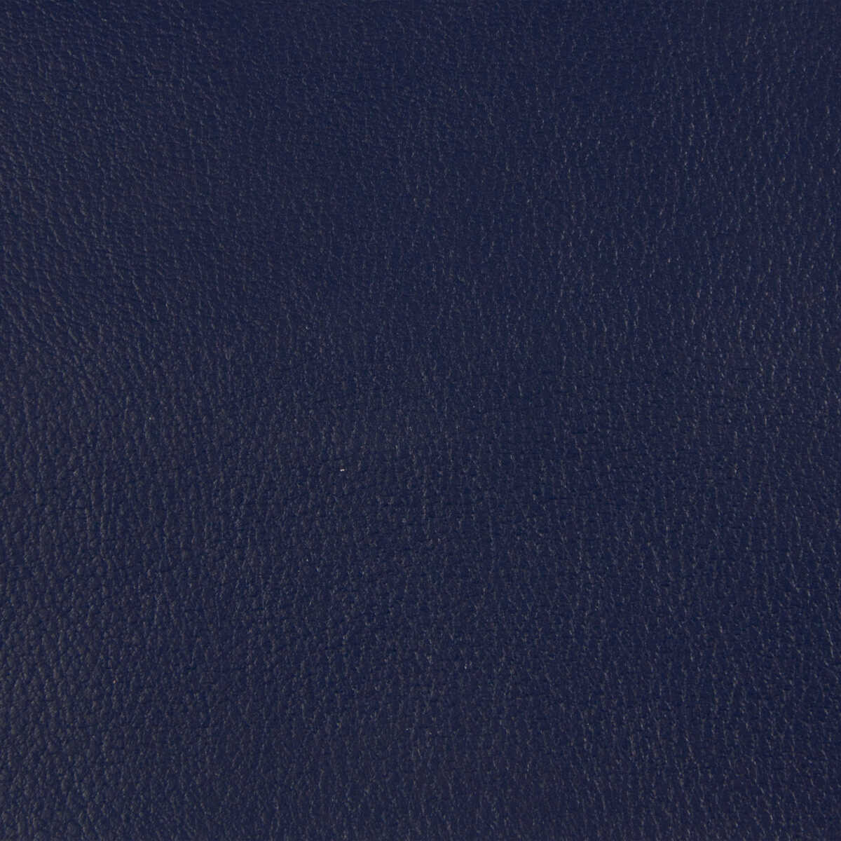 Kravet Contract - Berta-50 - KRAVET CONTRACT Fabric