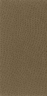 Nuostrich-106-Kravet-Basics-Fabric