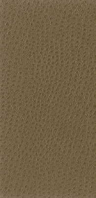 Kravet Basics - Nuostrich-106 - KRAVET BASICS Fabric