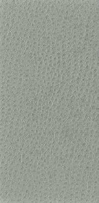 Nuostrich-11-Kravet-Basics-Fabric