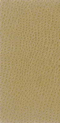 Kravet Basics - Nuostrich-16 - KRAVET BASICS Fabric