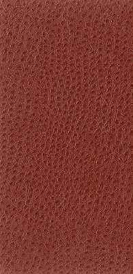 Nuostrich-24-Kravet-Basics-Fabric