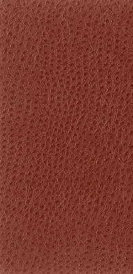 Kravet Basics - Nuostrich-24 - KRAVET BASICS Fabric