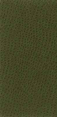 Nuostrich-30-Kravet-Basics-Fabric