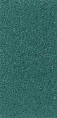 Kravet Basics - Nuostrich-35 - KRAVET BASICS Fabric
