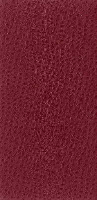 Kravet Basics - Nuostrich-9 - KRAVET BASICS Fabric