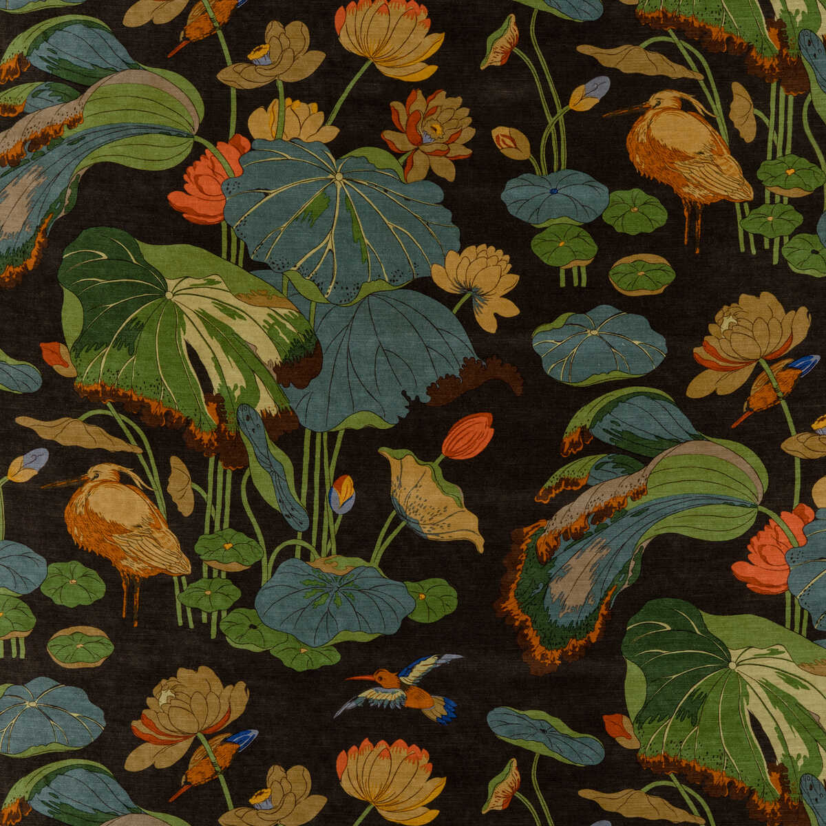 Nympheus Velvet - Charcoal - G P & J BAKER Fabric