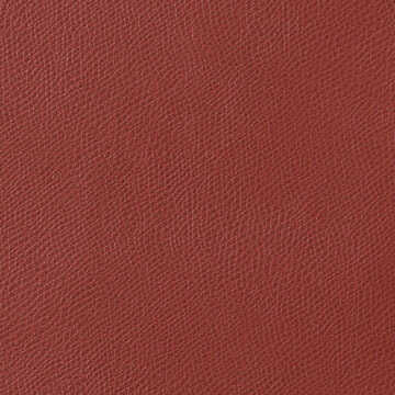 Ophidian - Mesa - KRAVET CONTRACT Fabric