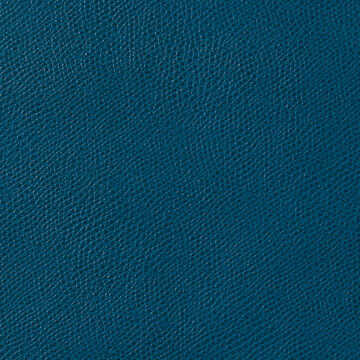 Ophidian - Neptune - KRAVET CONTRACT Fabric