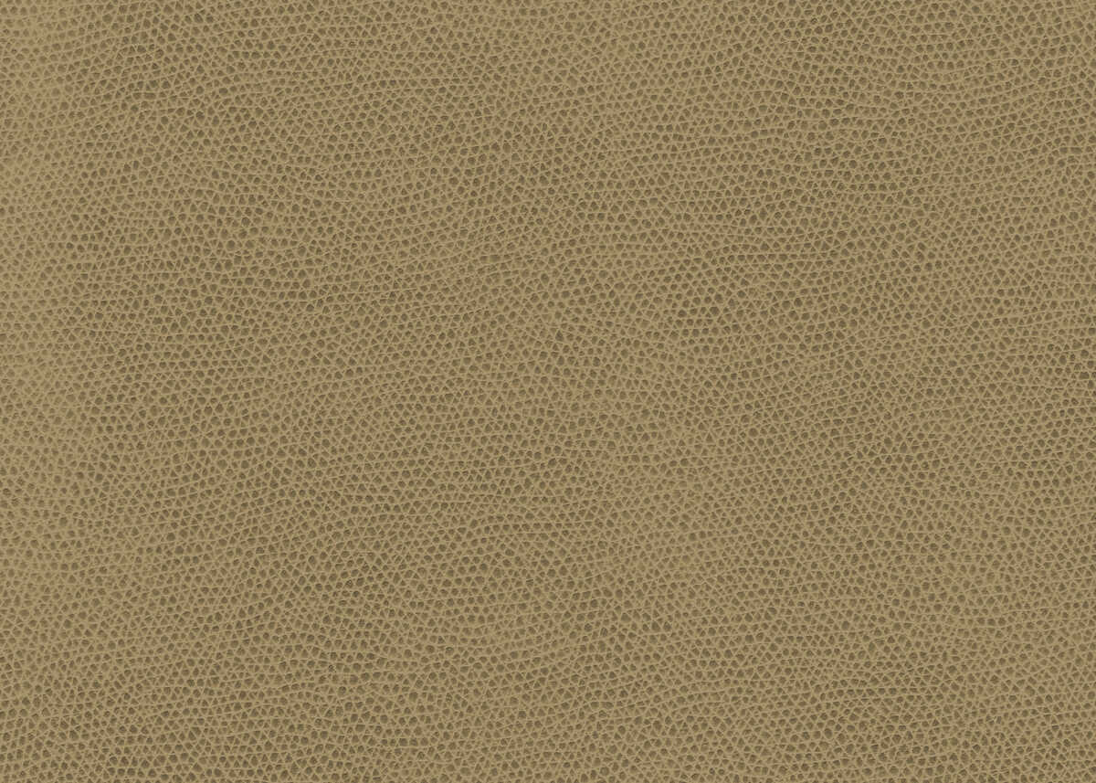 Ophidian - Wheat - KRAVET CONTRACT Fabric