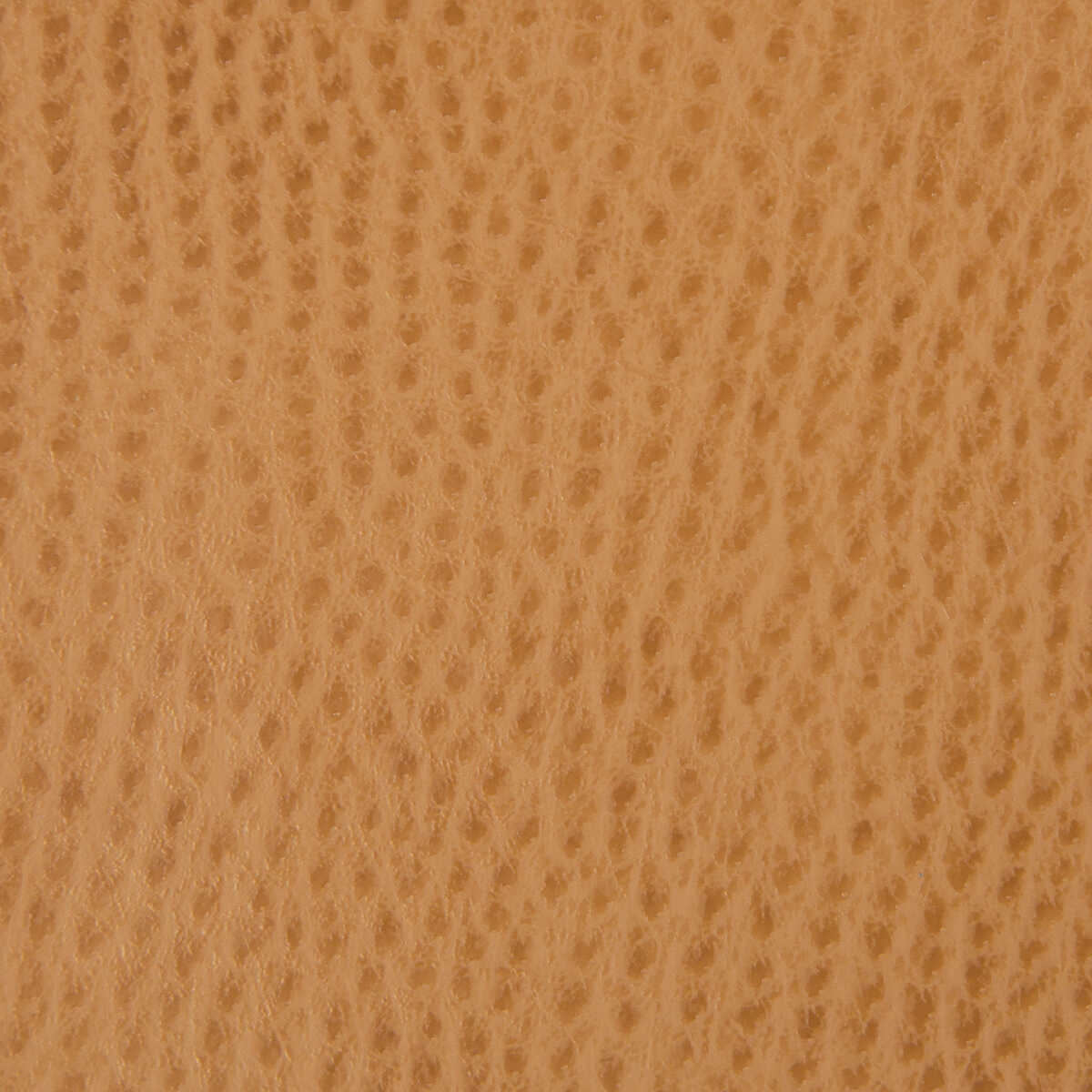 Kravet Contract - Belus-4