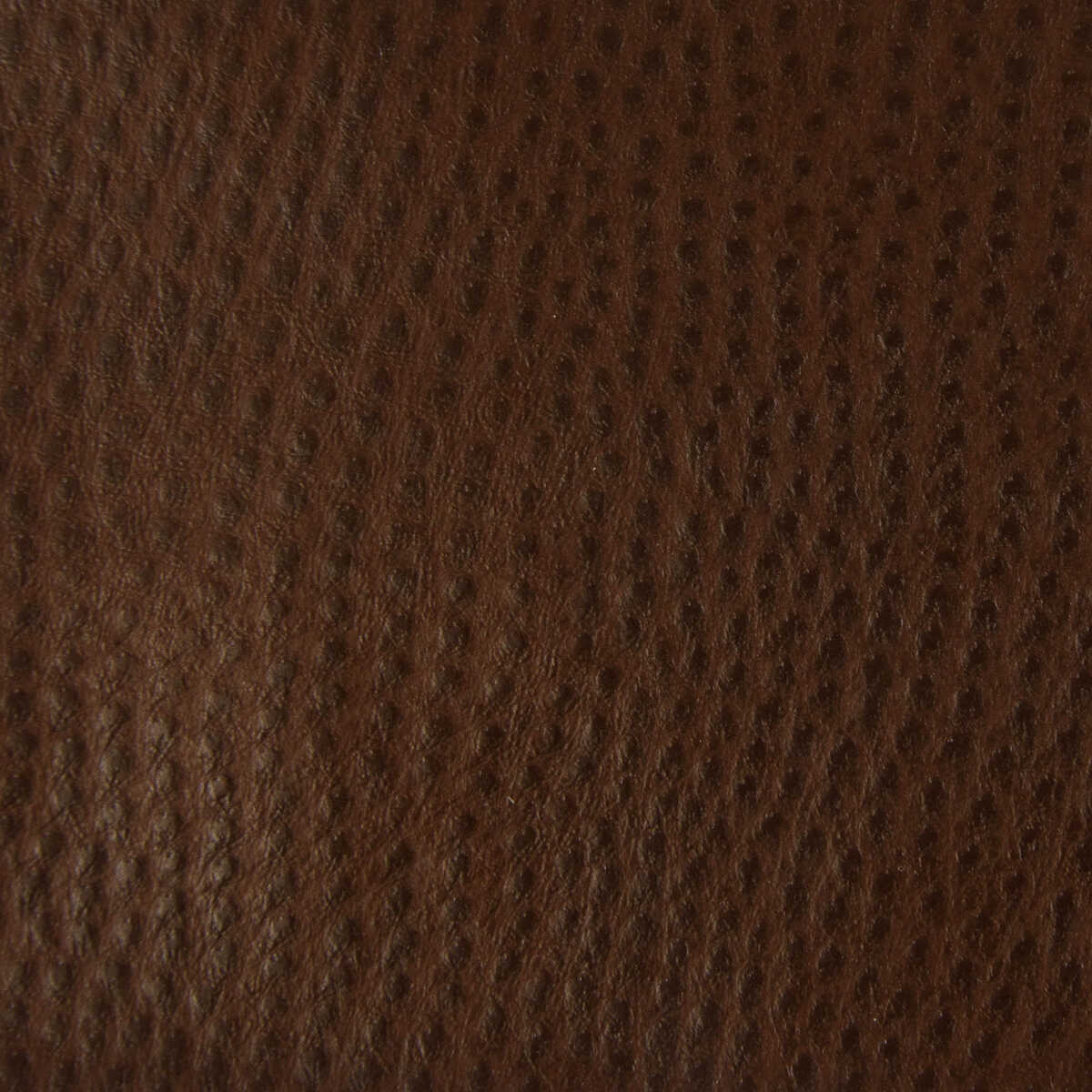 Kravet Contract - Belus-6