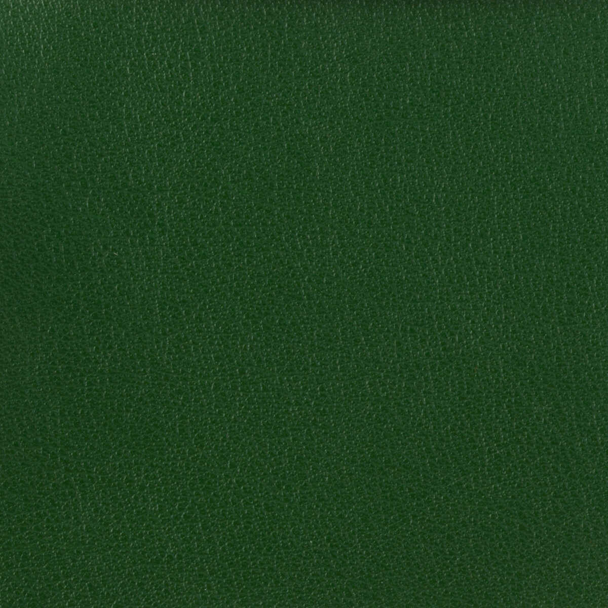 Kravet Basics - Otto-3 - KRAVET BASICS Fabric