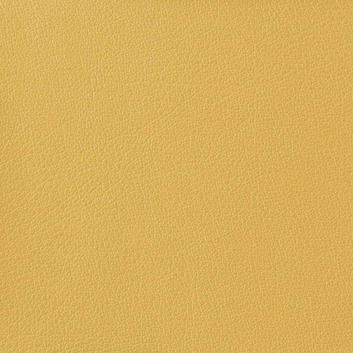 Otto-40-Kravet-Basics-Fabric