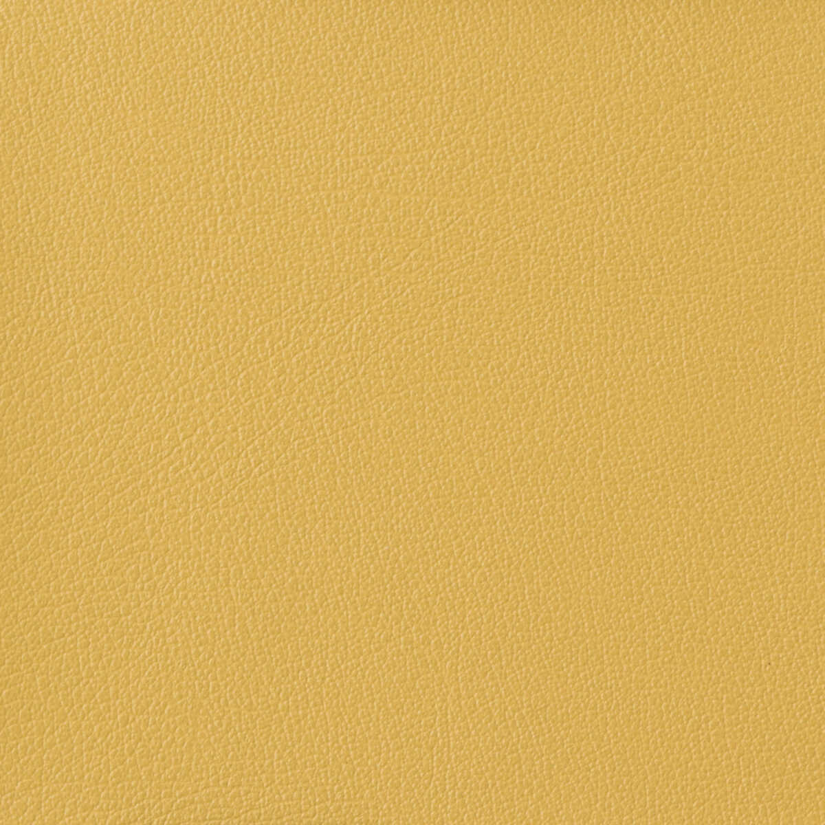 Kravet Basics - Otto-40 - KRAVET BASICS Fabric