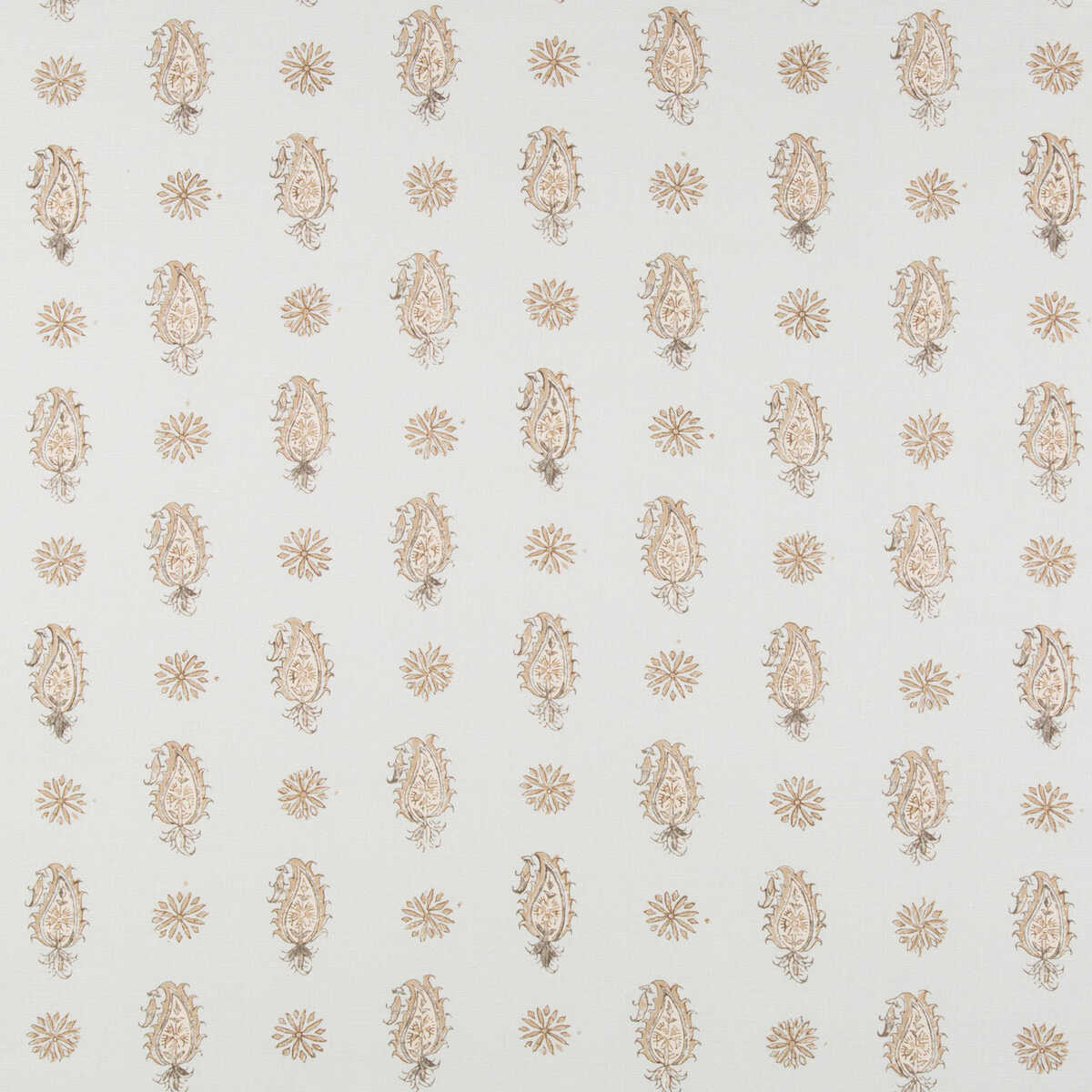 Onam Paisley - Spa/Beige - BRUNSCHWIG & FILS Fabric