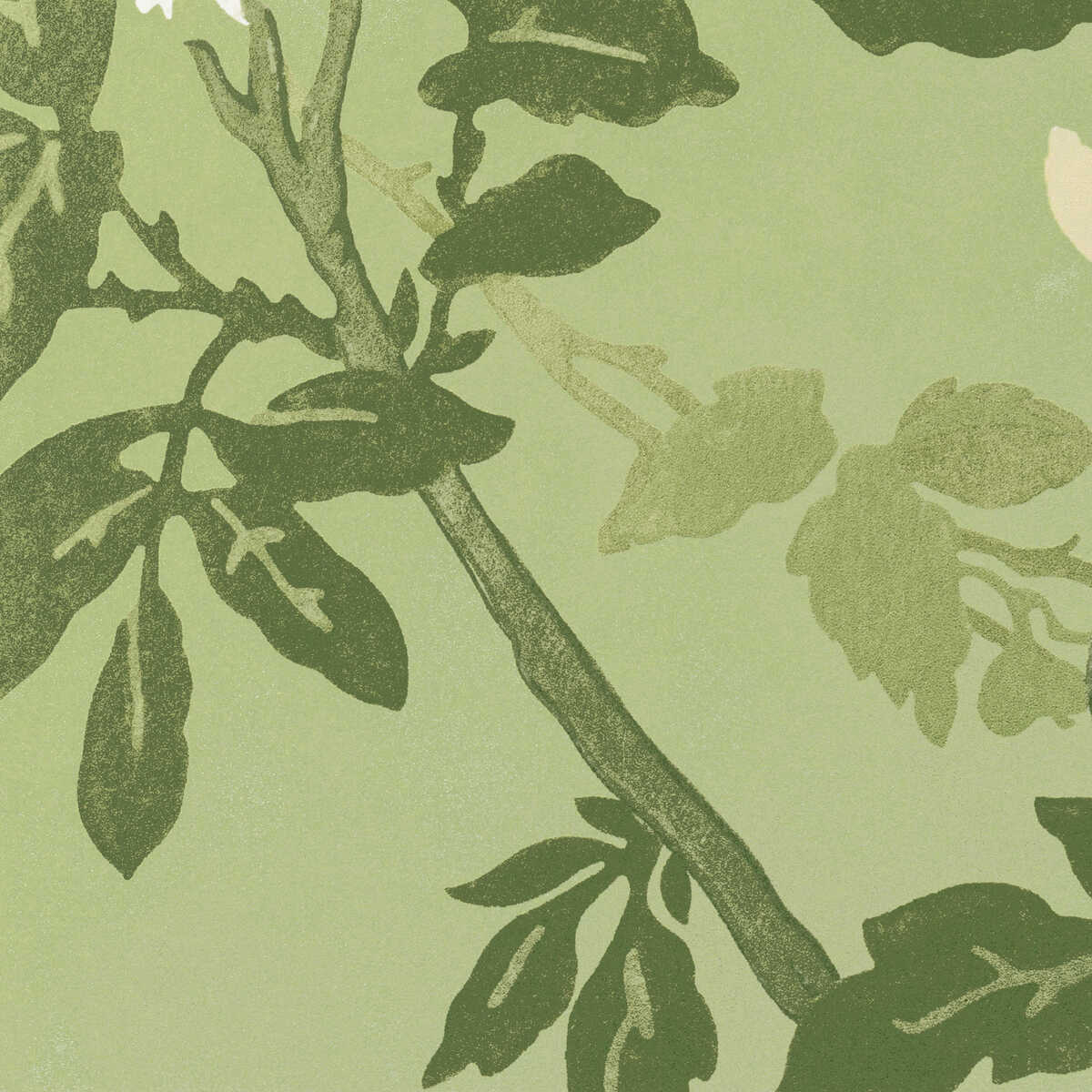 Inisfree Wp - Meadow - LEE JOFA Papel pintado