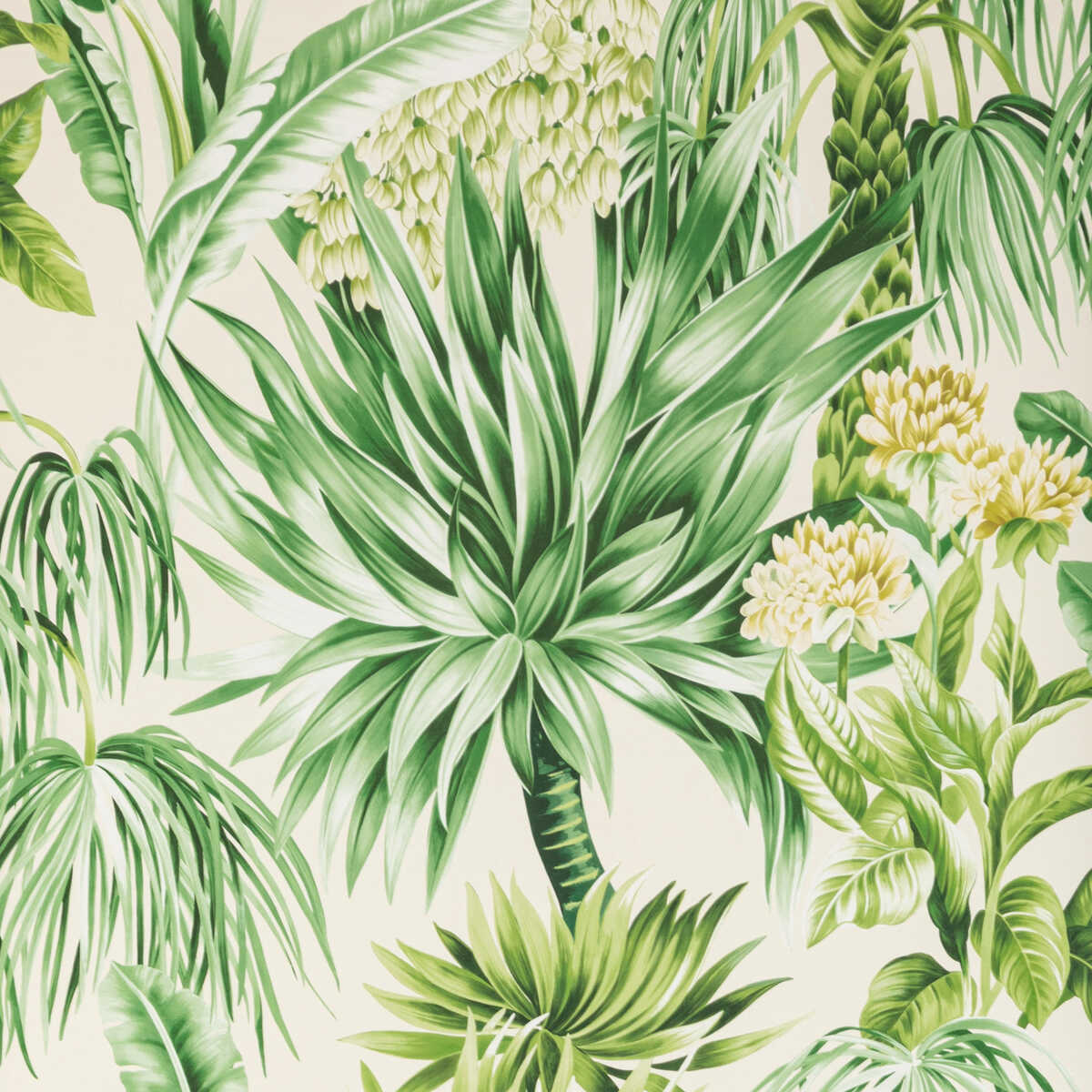 Caluya Paper - Palm - LEE JOFA Papel pintado