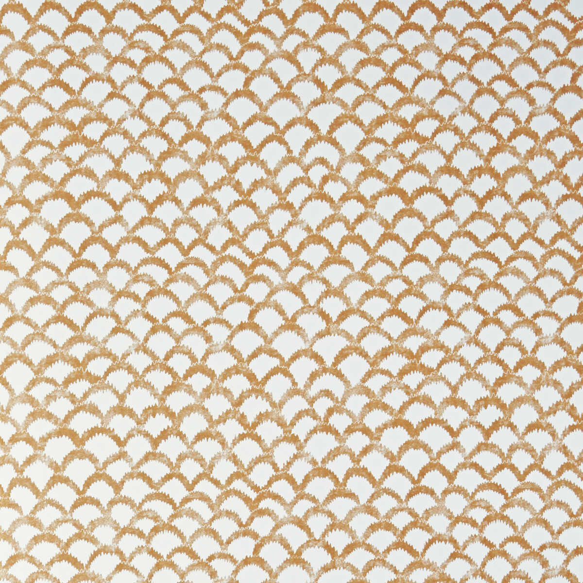 Roche Wp - Ochre