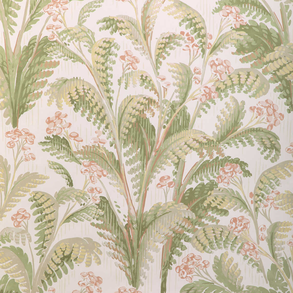 Pashley Paper - Blush