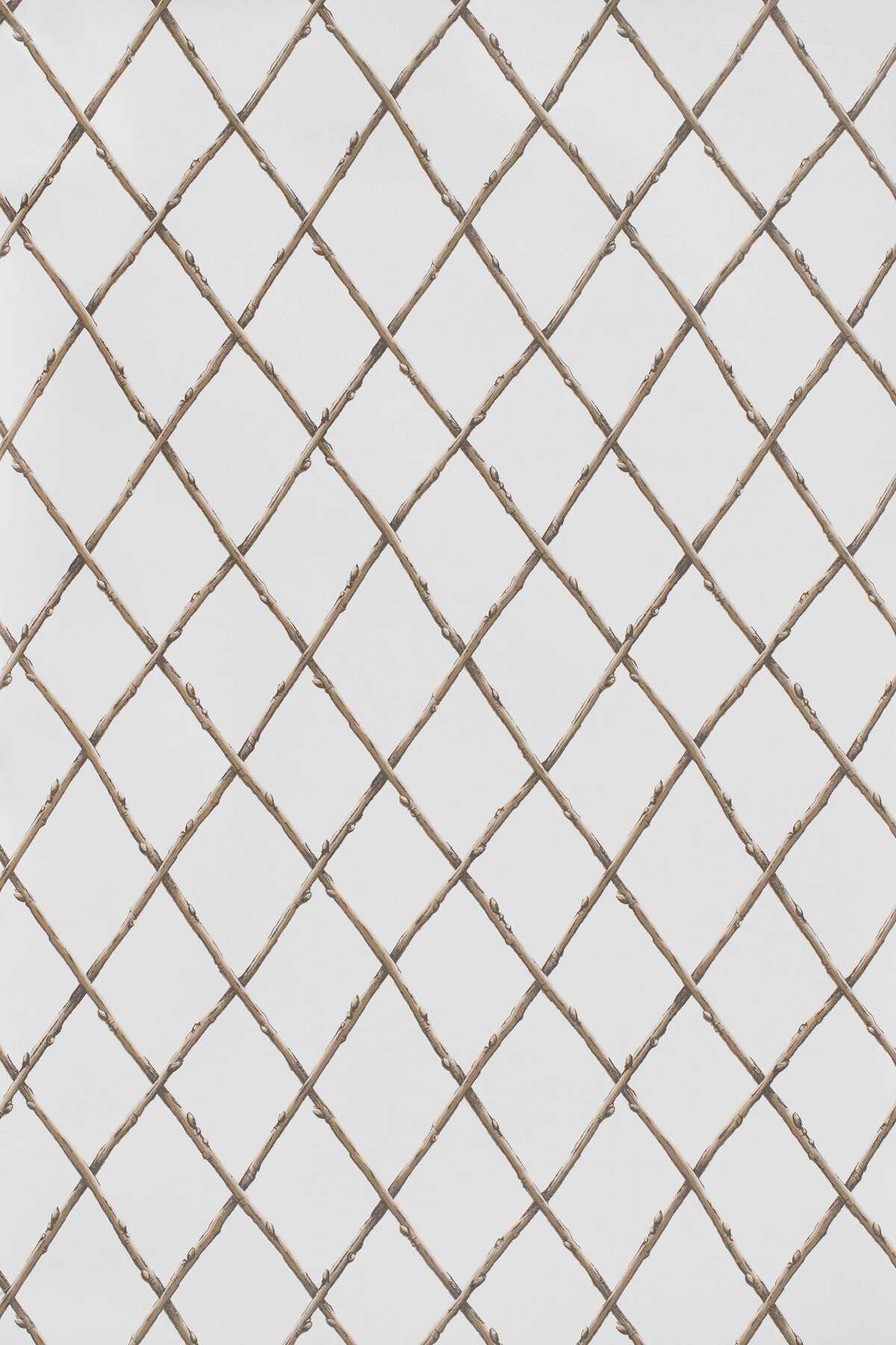 Bare Twig Trellis Wp - Brown - LEE JOFA Papel pintado