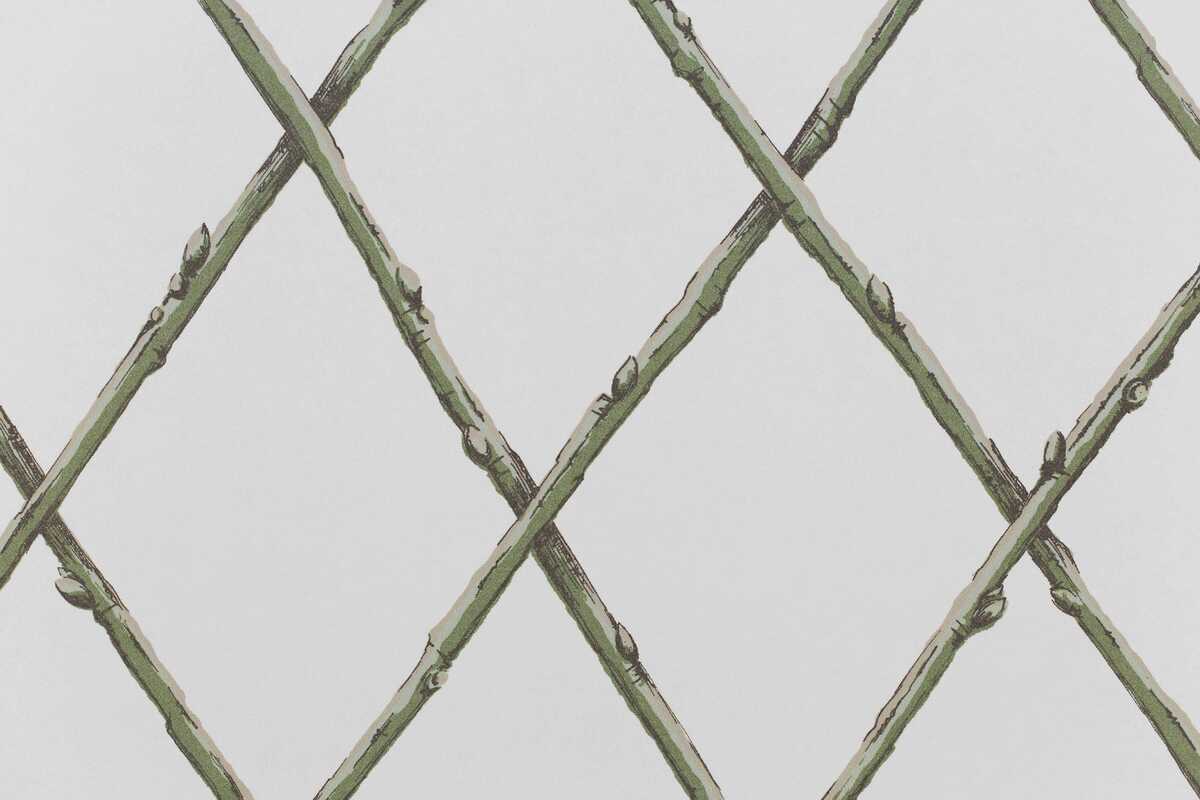 Bare Twig Trellis Wp - Green - LEE JOFA Papel pintado