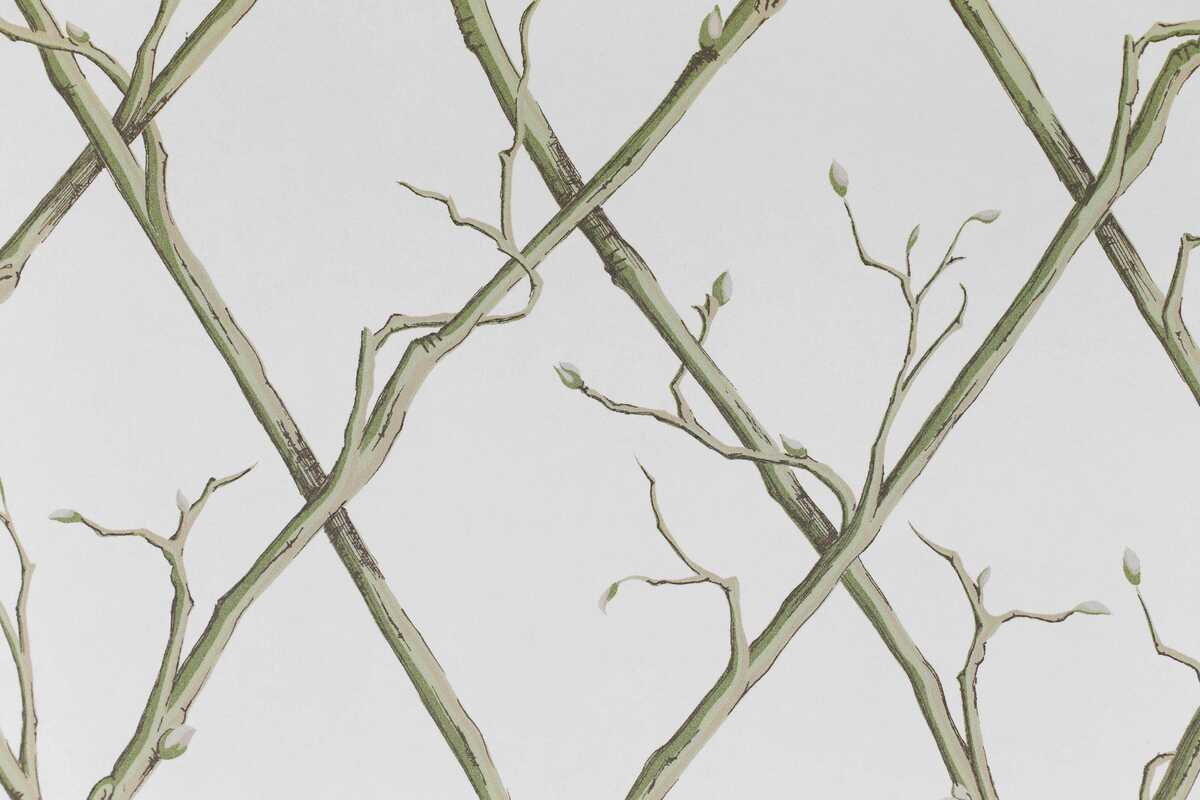 Twig Trellis Wp - Green - LEE JOFA Wallpaper