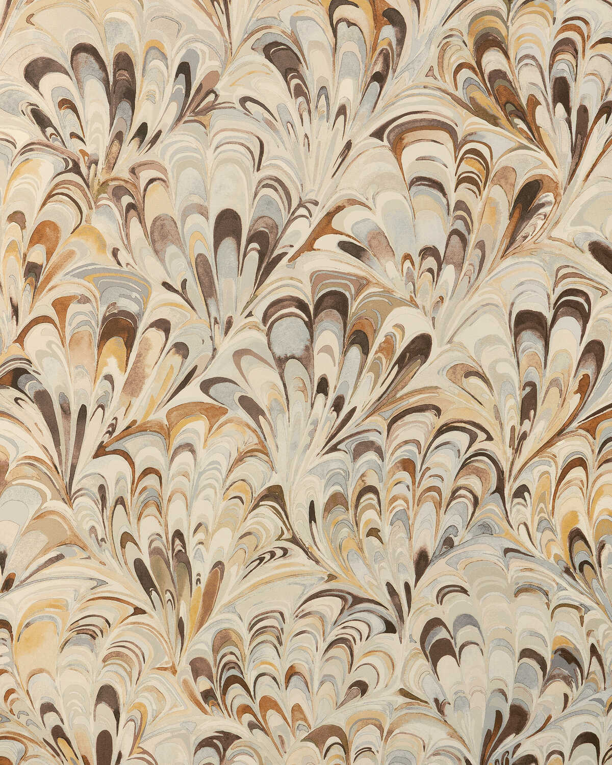 Ellis Paper - Camel
