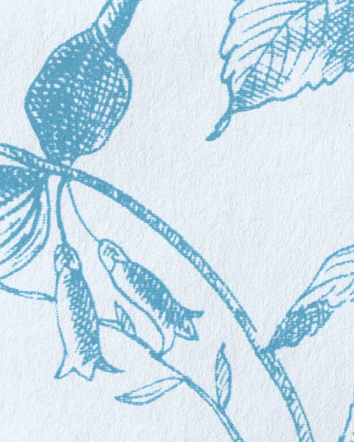 Tea Rose Toile Wp - Blue - LEE JOFA Wallpaper